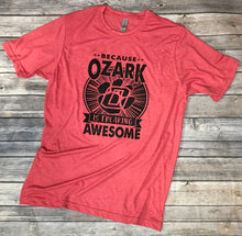 Load image into Gallery viewer, Ozark Is Awesome Soft T-Shirt
